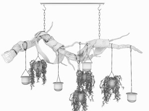 collection plant vol 79 3D Model