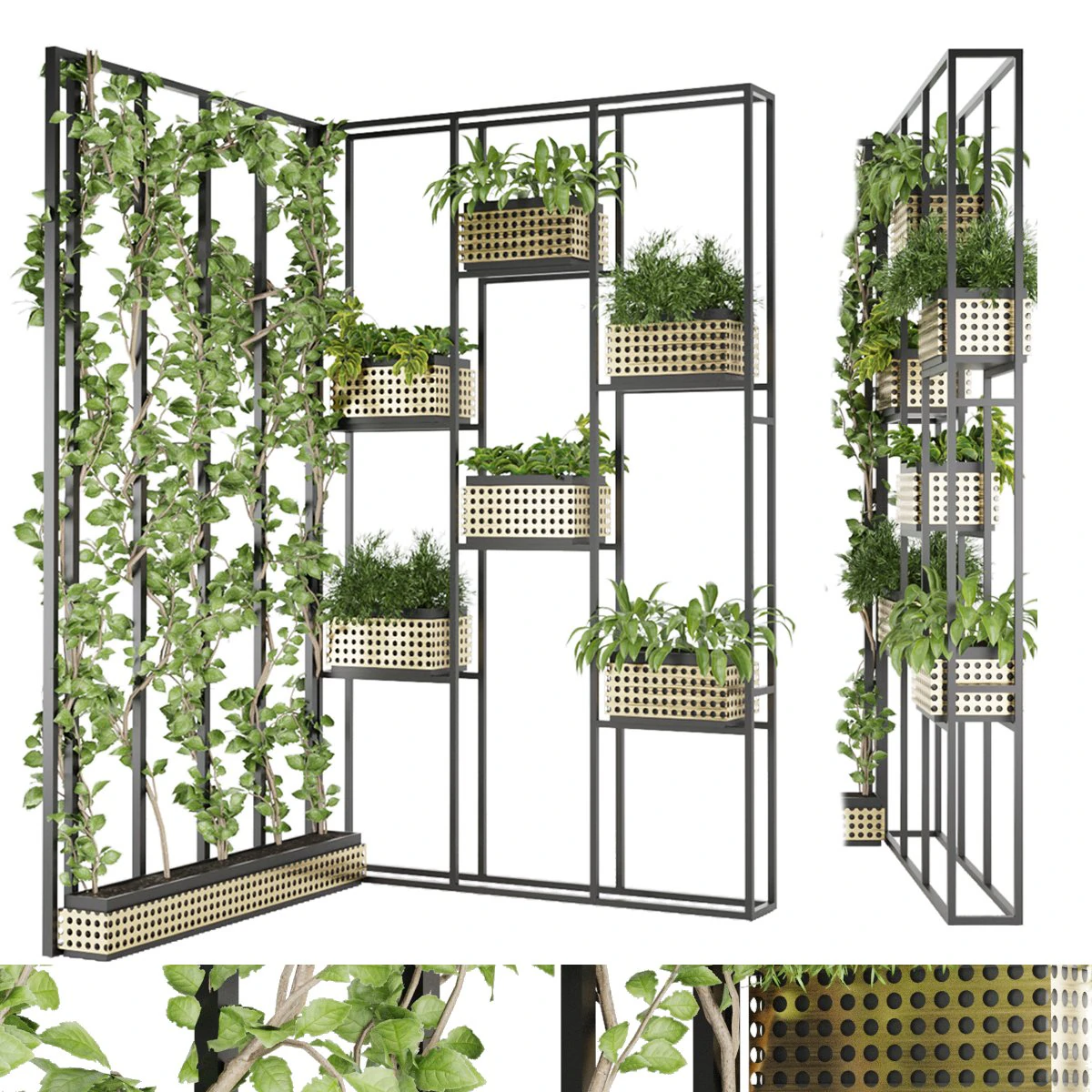 collection plant vol 80 3D Model .c4d .max .obj .3ds .fbx .stl .blend 