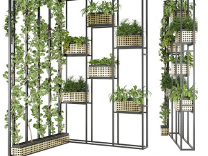 pianta da collezione vol 80 Modello 3D