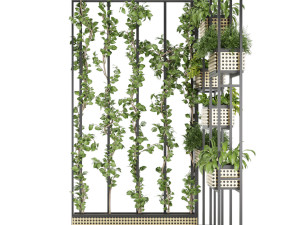 collection plant vol 80 3D मॉडल