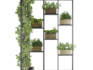 collection plant vol 80 3D Model