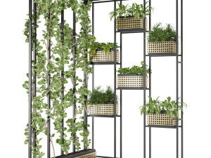 collection plant vol 80 3D मॉडल