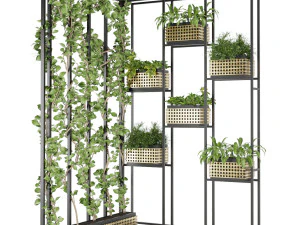 collection plant vol 80 3D Model