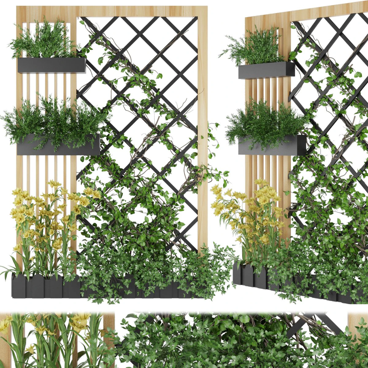 collection plant vol 81 3D Model .c4d .max .obj .3ds .fbx .stl .blend 