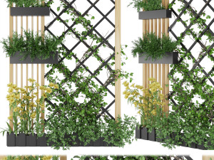 collection plant vol 81 3D Model