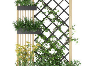 collection plant vol 81 3D 모델