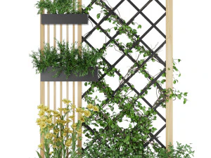 collection plant vol 81 3D Model