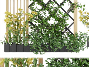 collection plant vol 81 3D 모델