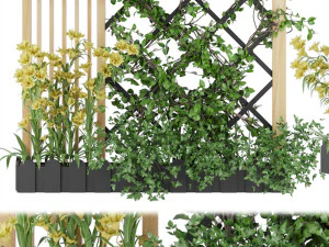 collection plant vol 81 3D Model