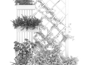 collection plant vol 81 3D 모델