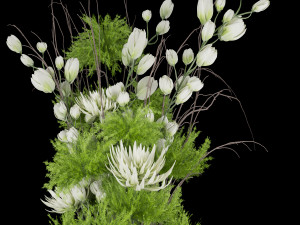 collection plant vol 84 Model 3D