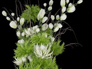 collection plant vol 84 3D Model