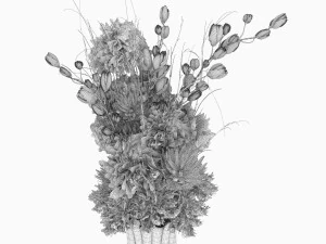 collection plant vol 84 3D Model