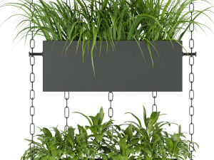 collection plant vol 85 3Dモデル