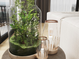 collection plant vol 86 3Dモデル