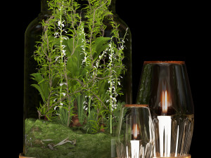 collection plant vol 86 3Dモデル