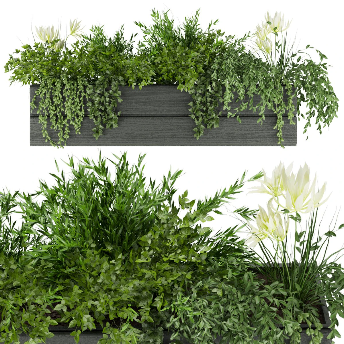 collection plant vol 90 3D Model .c4d .max .obj .3ds .fbx .stl .blend