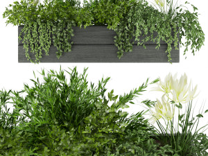 collection plant vol 90 3D 모델