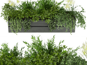 collection plant vol 90 3D 模型