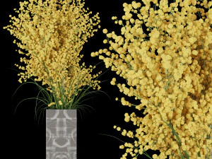 planta de coleta vol 91 Modelo 3D