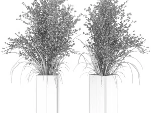collection plant vol 91 3D Model