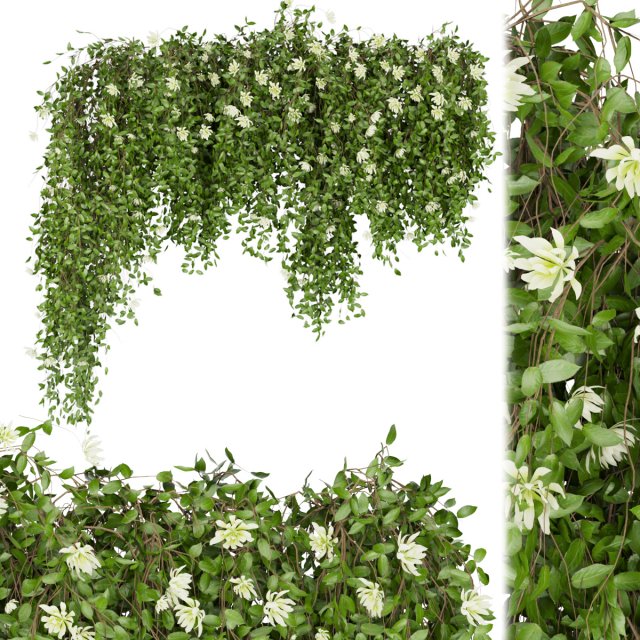 collection plant vol 92 Modèle 3D .c4d .max .obj .3ds .fbx .stl .blend 