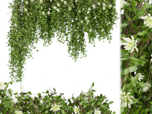 planta de coleta vol 92 Modelo 3D