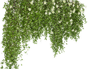 collection plant vol 92 Modèle 3D