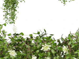 collection plant vol 92 3D Model