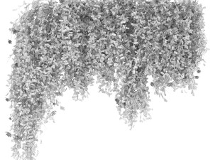 collection plant vol 92 Modèle 3D