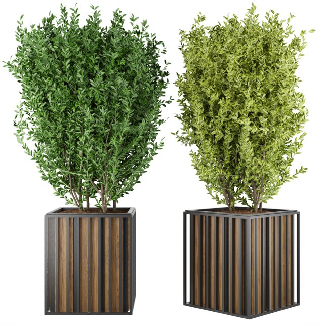 collection plant vol 94 3D 모델 .c4d .max .obj .3ds .fbx .stl .blend 