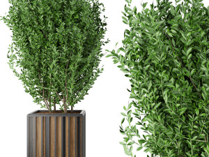 collection plant vol 94 3D 모델