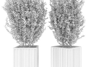collection plant vol 94 3D 모델