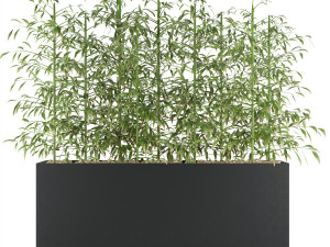 collection plant vol 95 3D Model