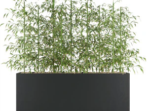 collection plant vol 95 3D Model