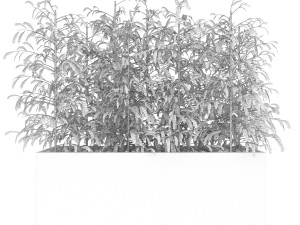 collection plant vol 95 3D Model