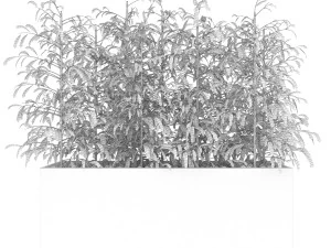 collection plant vol 95 3D Model