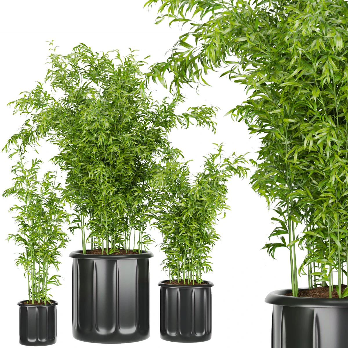 collection plant vol 96 3D Model .c4d .max .obj .3ds .fbx .stl .blend