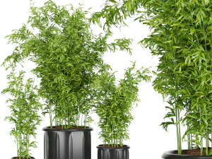 planta de coleta vol 96 Modelo 3D