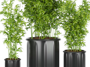 collection plant vol 96 3D 모델