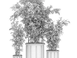 collection plant vol 96 3D Model