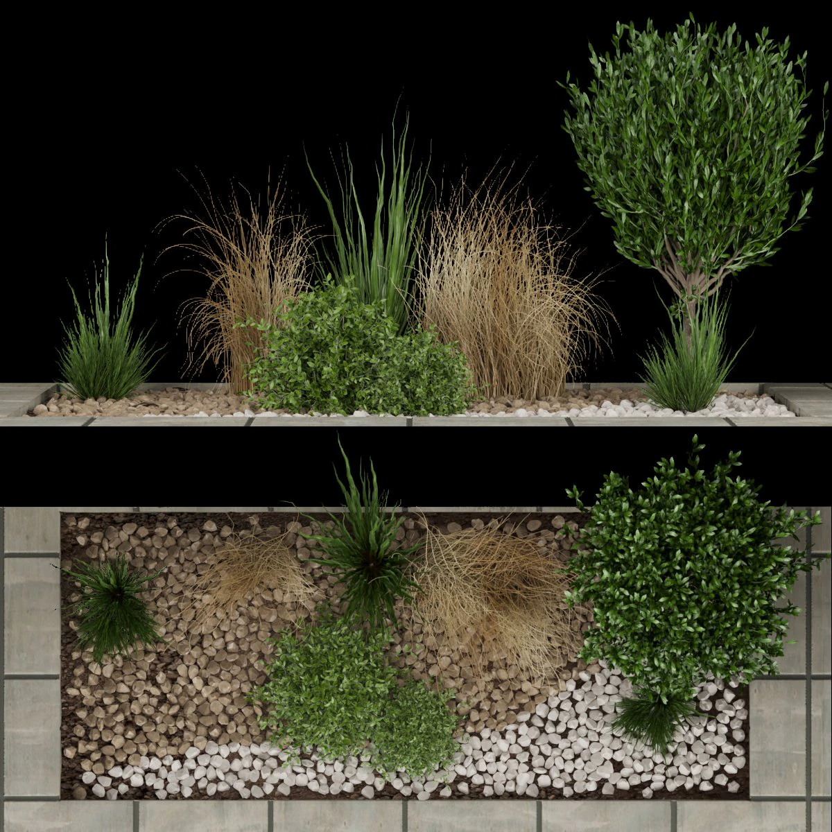 collection plant vol 98 3D Model .c4d .max .obj .3ds .fbx .stl .blend 