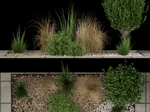 collection plant vol 98 3D Model