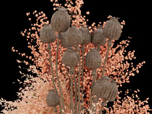 collection plant vol 103 3D Model