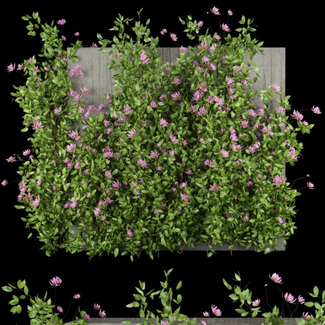 collection plant vol 105 3D Model .c4d .max .obj .3ds .fbx .stl .blend 
