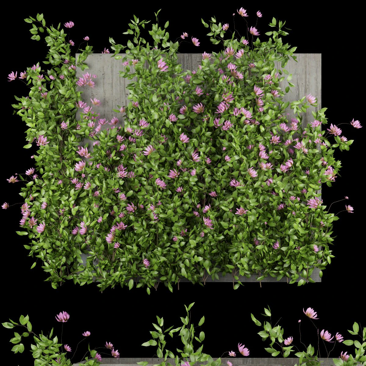collection plant vol 105 3D Model .c4d .max .obj .3ds .fbx .stl .blend 