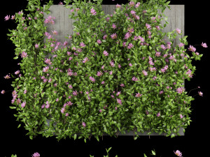 collection plant vol 105 3D Model