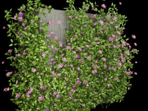 collection plant vol 105 3D Model