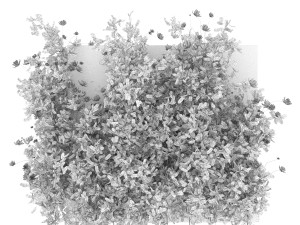 collection plant vol 105 3D Model