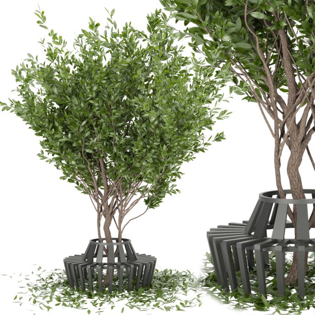 collection plant vol 106 3D Модель .c4d .max .obj .3ds .fbx .stl .blend 